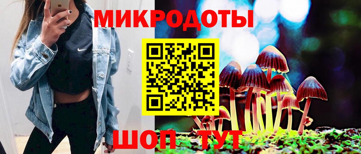 Кропоткин  Псилоцибиновые грибы Psilocybine cubensis  Вход с VPN 