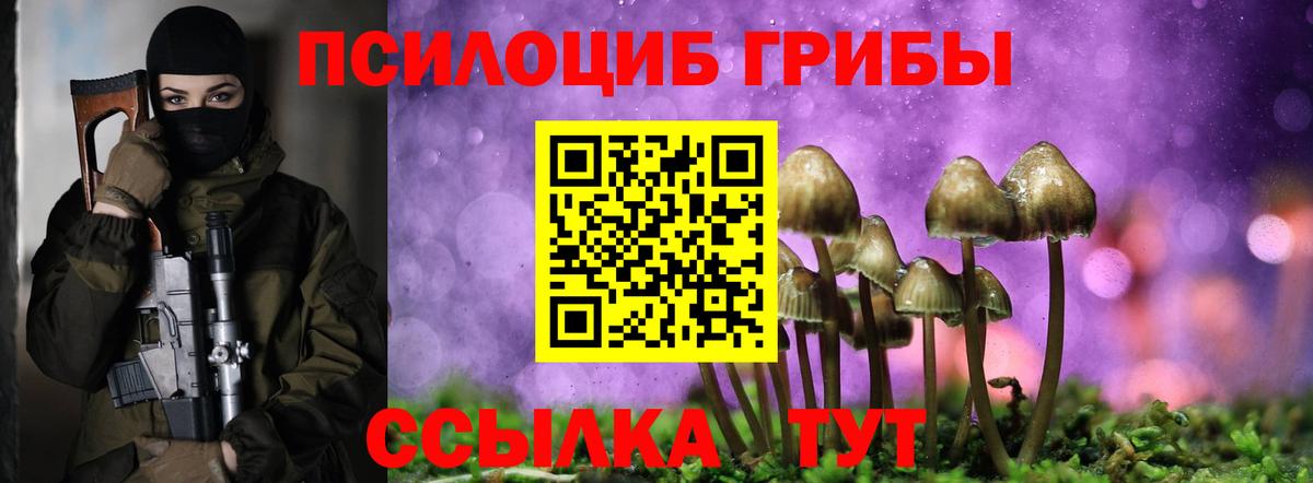 Галлюциногенные грибы ЛСД Кропоткин